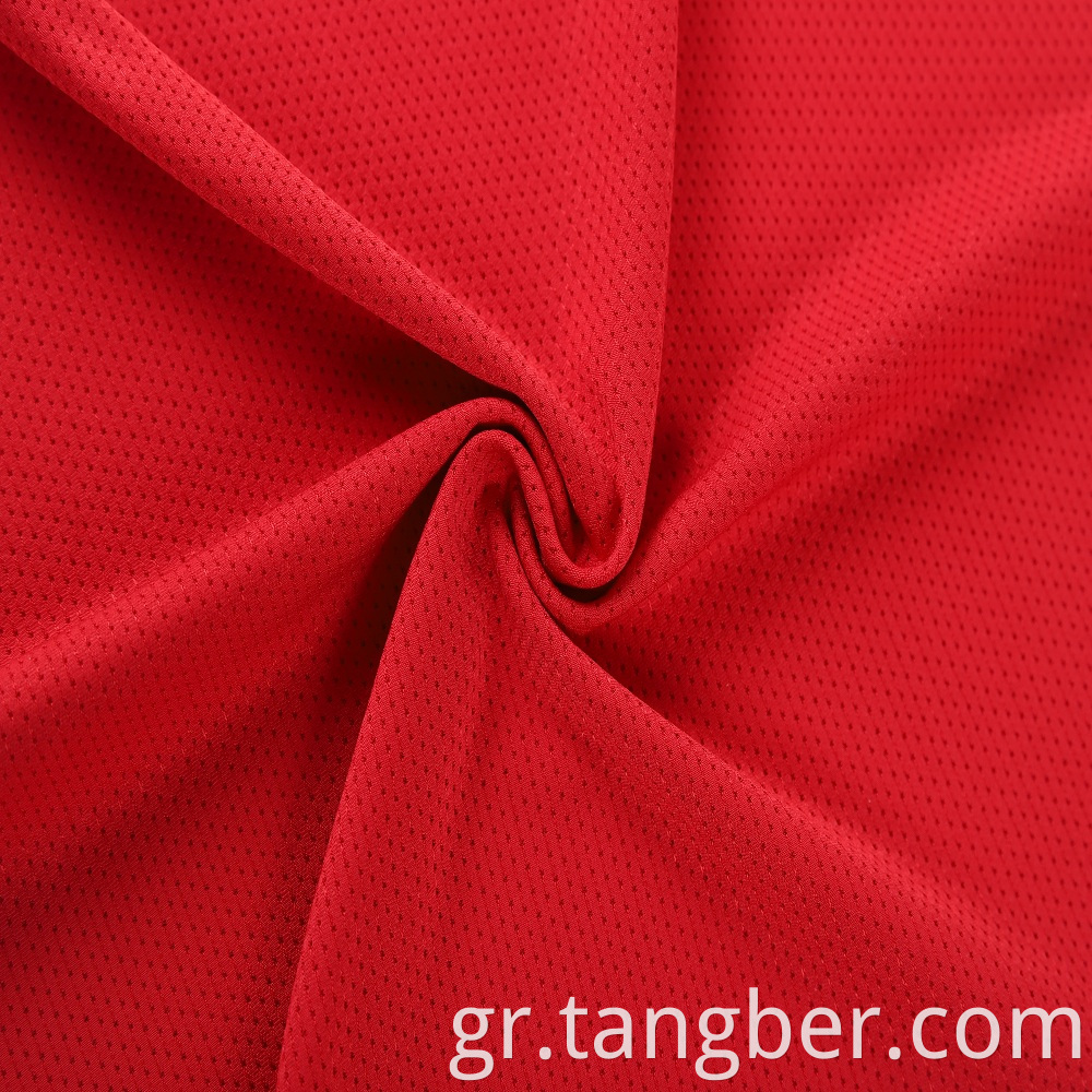 Polyester Mesh Fabric